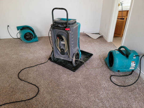 Best Flood damage cleanup  in Shenorock, NY