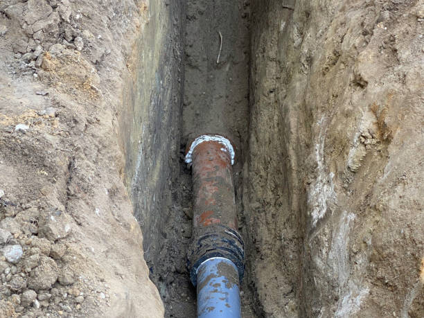 Best Professional water damage repair  in Shenorock, NY