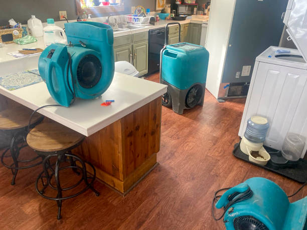 Best 24/7 water damage repair  in Shenorock, NY