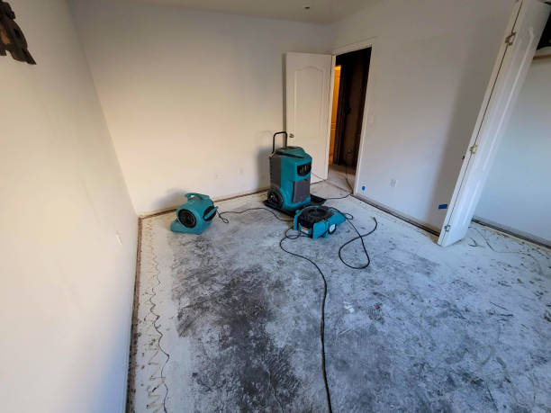 Best Water damage restoration near me  in Shenorock, NY