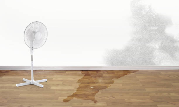 Best Water damage restoration mold remediation  in Shenorock, NY