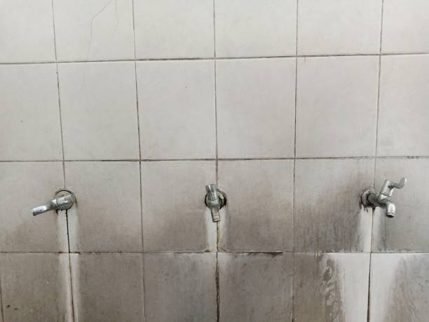Best Water damage contractors near me  in Shenorock, NY