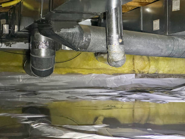 Best Water damage restoration process  in Shenorock, NY