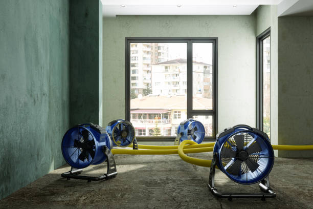 Best Sewage cleanup and water damage restoration  in Shenorock, NY