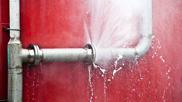 Best Flood damage cleanup  in Shenorock, NY